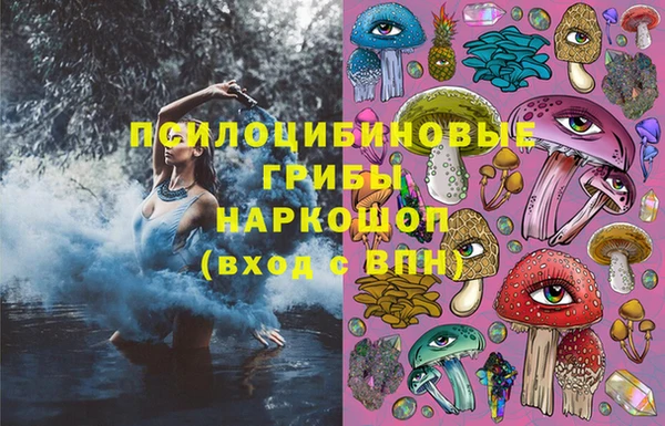 мдпв Нязепетровск