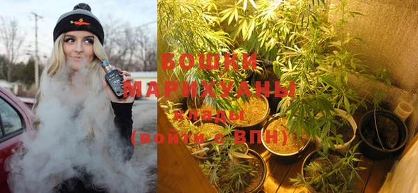 ПСИЛОЦИБИНОВЫЕ ГРИБЫ Няндома