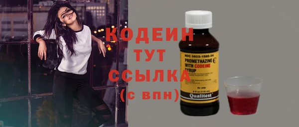 ПСИЛОЦИБИНОВЫЕ ГРИБЫ Няндома