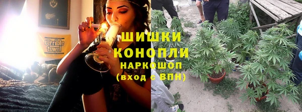 ПСИЛОЦИБИНОВЫЕ ГРИБЫ Няндома