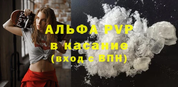 ПСИЛОЦИБИНОВЫЕ ГРИБЫ Няндома