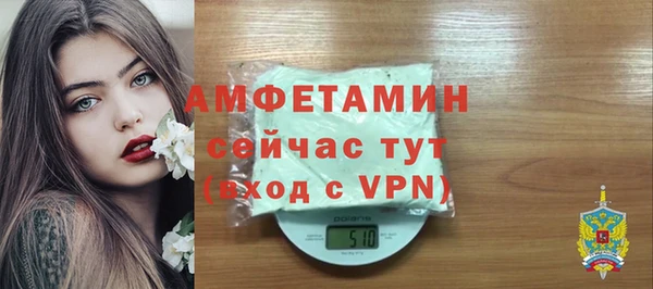 ПСИЛОЦИБИНОВЫЕ ГРИБЫ Няндома