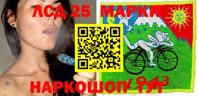 мяу мяу мука Аргун