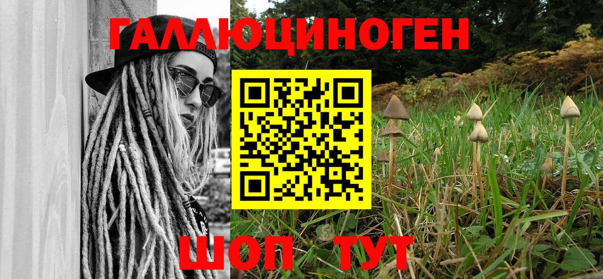 Галлюциногенные грибы Psilocybe Чита