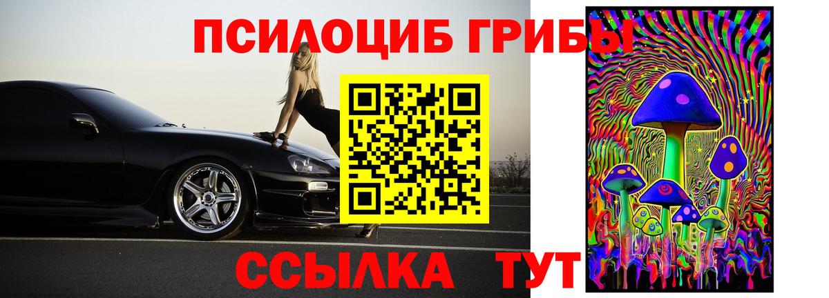 Псилоцибиновые грибы мухоморы Чита